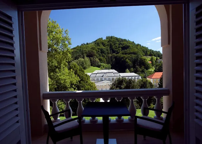 Aleksander Medical & Отель Рогашка Слатина