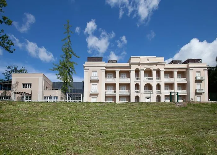 Aleksander Medical & מלון